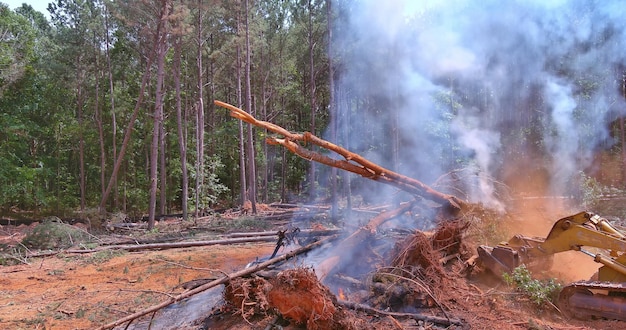 Avec catastrophe écologique un tracteur rempli de sable est de tirer dans les feux de forêt