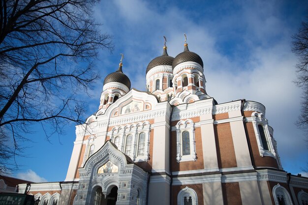 Cathédrale Alexandre Nevski