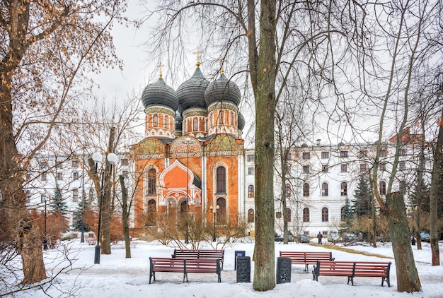 Cathédrale de l'Intercession et branches d'arbres Parc Izmailovsky en hiver ville Bauman Moscou