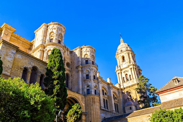 Cathédrale de malaga andalousie espagne