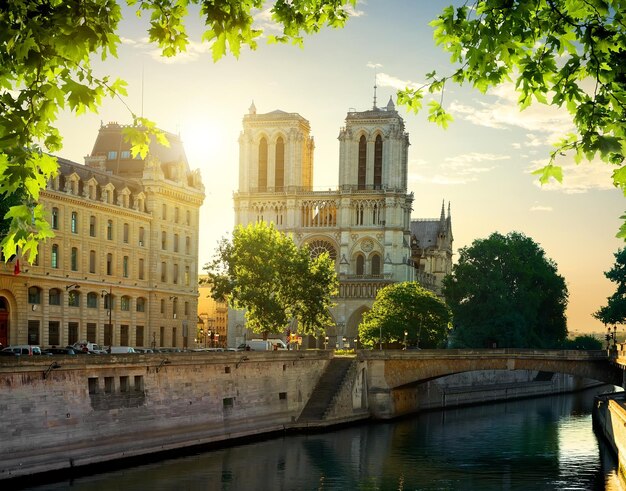 Cathédrale Notre-Dame à l'aube. Paris, France.