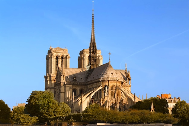 La Cathédrale Notre Dame à la journée ensoleillée Paris France