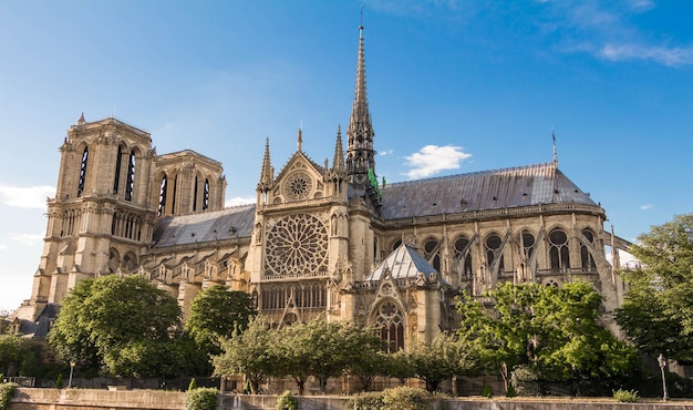 La cathédrale Notre Dame de nuit Paris France