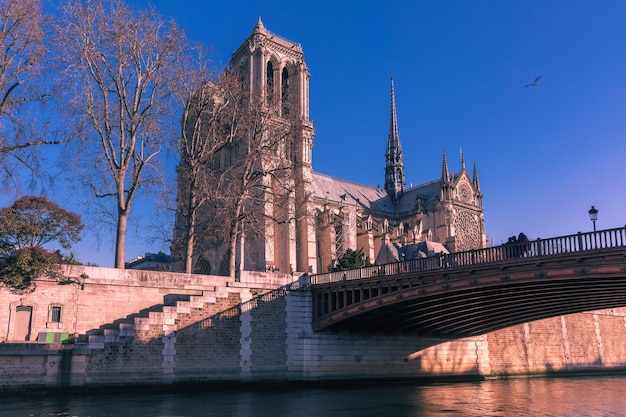 Cathédrale Notre-Dame de Paris France