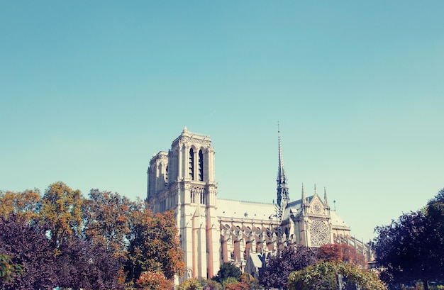 Photo cathédrale notre-dame de paris, france