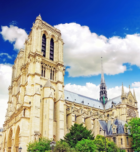 Cathédrale Notre Dame de Paris, jardin fleuri.Paris. La France.