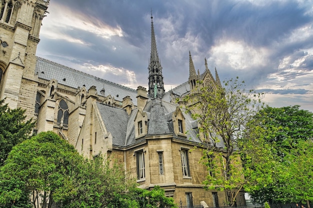 Cathédrale Notre-Dame de Paris