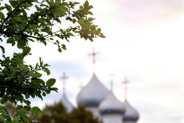 Cathédrale de printemps sur l'arbre du coucher du soleil