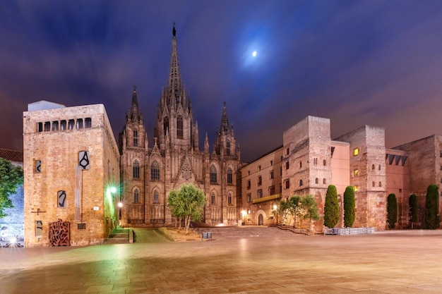 Cathédrale de la Sainte Croix et Saint Eulalia dans la nuit au clair de lune Barri Quartier Gothique à Barcelone Catalogne Espagne