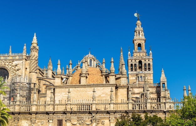 La Cathédrale De Sainte Marie Du Siège à Séville - Andalousie, Espagne