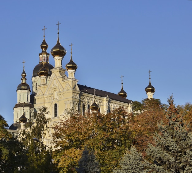 Cathédrale de la sainte vierge