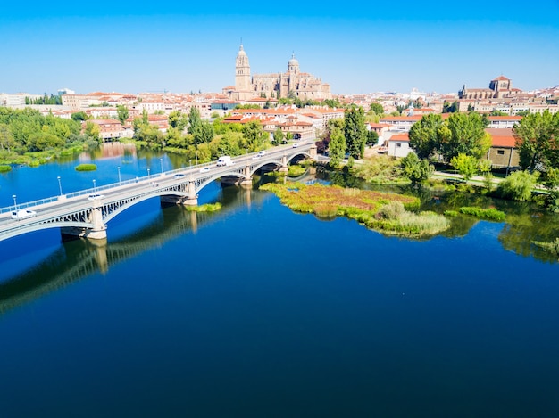 La cathédrale de Salamanque est une cathédrale gothique et baroque tardive dans la ville de Salamanque, Castille et Leon en Espagne