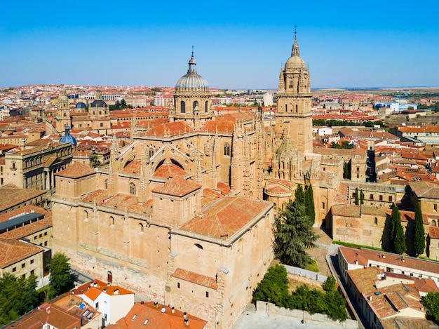 La cathédrale de Salamanque est une cathédrale gothique et baroque tardive dans la ville de Salamanque, Castille et Leon en Espagne