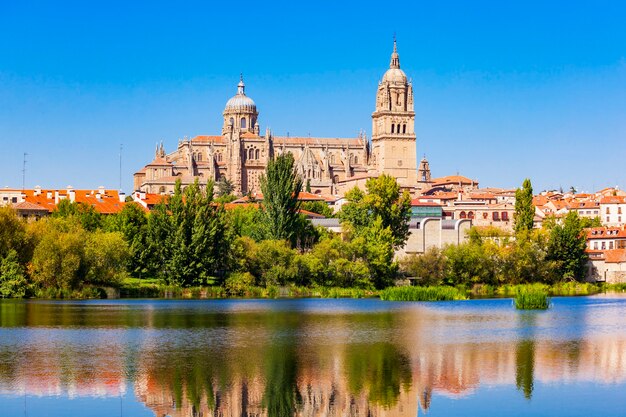 La cathédrale de Salamanque est une cathédrale gothique et baroque tardive dans la ville de Salamanque, Castille et Leon en Espagne