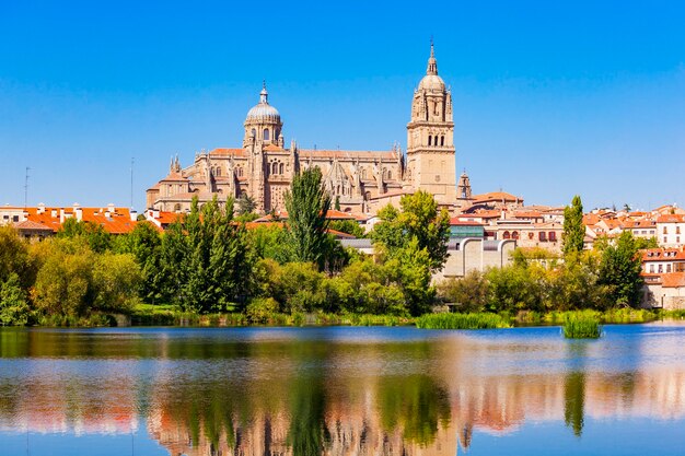 La Cathédrale De Salamanque Est Une Cathédrale Gothique Et Baroque Tardive Dans La Ville De Salamanque, Castille Et Leon En Espagne