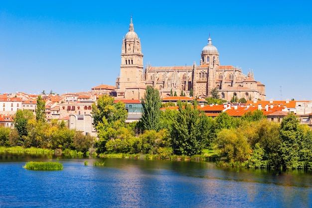 La cathédrale de Salamanque est une cathédrale gothique et baroque tardive dans la ville de Salamanque, Castille et Leon en Espagne