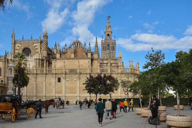 Cathédrale de Séville Catedral de Sevilla