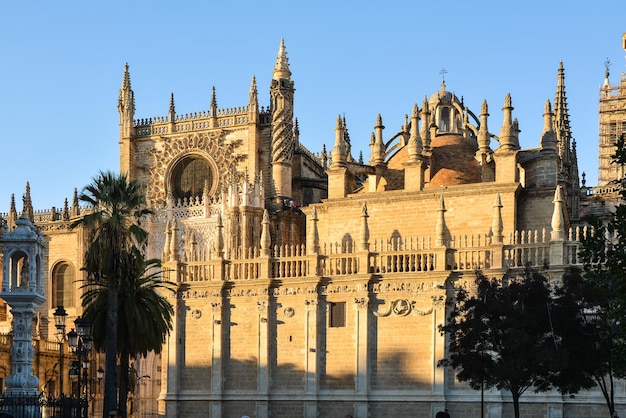 Cathédrale de Séville Catedral de Sevilla