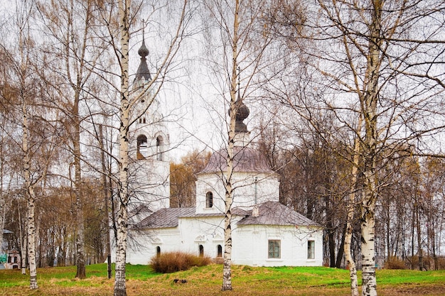 Cathédrale Uspensky dans la ville de Plyos dans la région d'Ivanovo en Russie.