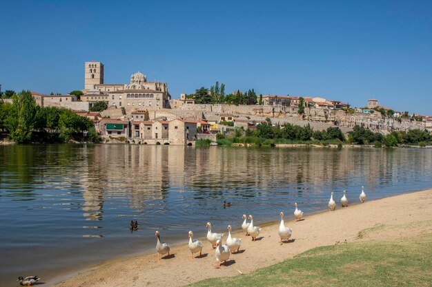 Cathédrale de Zamora et fleuve Duero