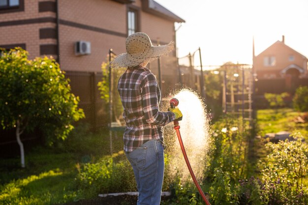 Caucasian woman jardinier en vêtements de travail arroser les lits dans son potager sous le soleil chaud