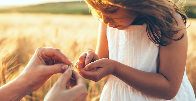 Caucasienne mère et sa fille regardant les graines de blé posant dans un champ contre le coucher du soleil