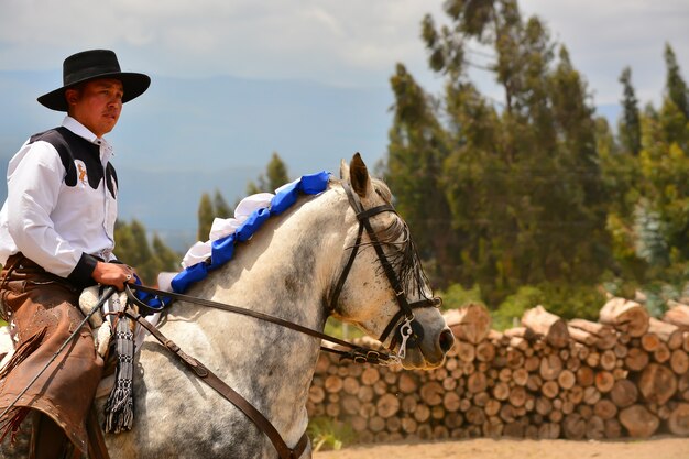 Cavalier en dressage