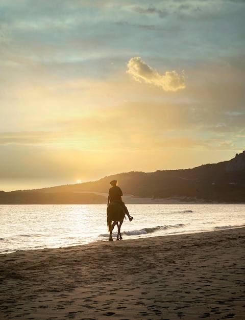 Cavalier méconnaissable sur un cheval au coucher du soleil sur la plage Silhouette d'homme à cheval