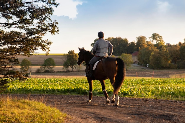 Photo un cavalier en tenue d'équitation monte un gros cheval