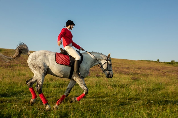 La cavalière sur un cheval rouge. Équitation. Course de chevaux. Cavalier à cheval.