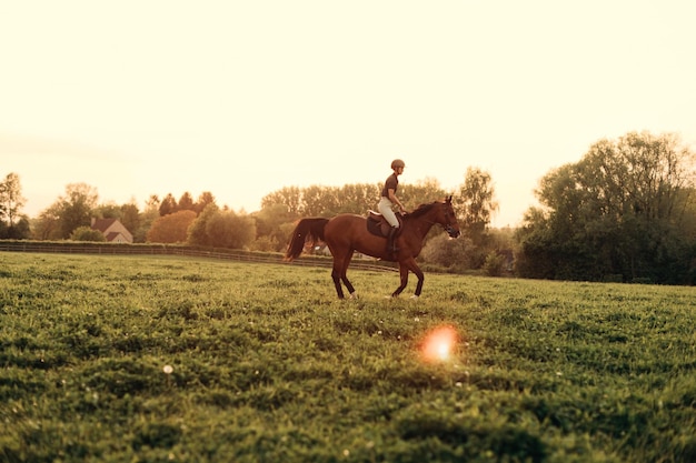 Cavalière professionnelle trottant avec son cheval au coucher du soleil