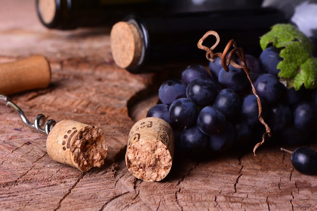 Cave à vin, récolte de cette année