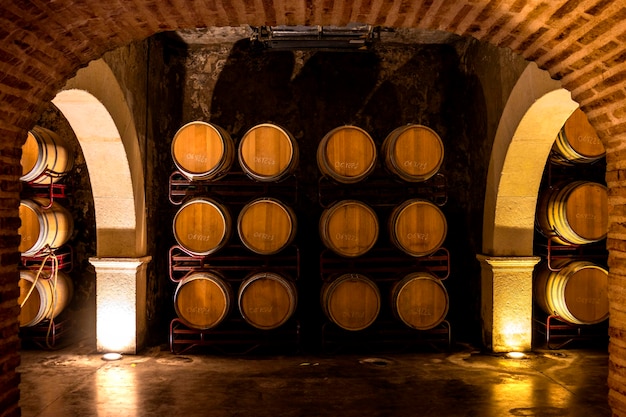 Cave à vin Subway Fûts de chêne avec du vin de haute qualité en Espagne