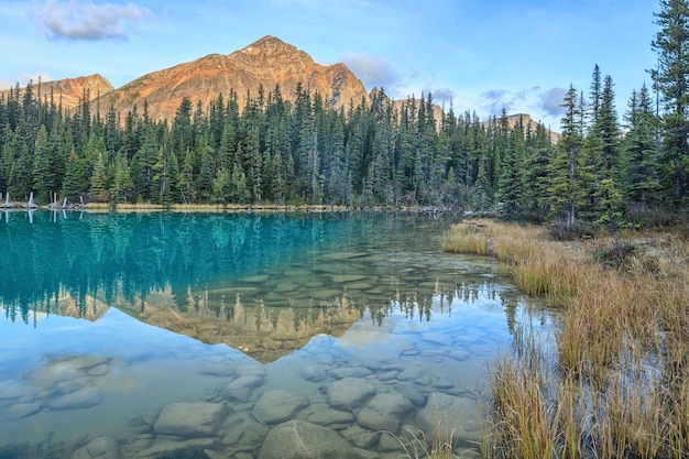 Cavell Edith Lake Canadian Rockis Alberta Canada