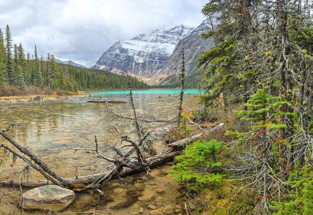 Cavell Edith Lake Canadian Rockis Alberta Canada