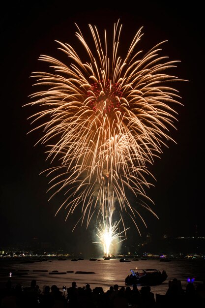 Célébration de feux d'artifice colorés avec les gens et le fond de lumière nocturne de la ville au bord de la mer