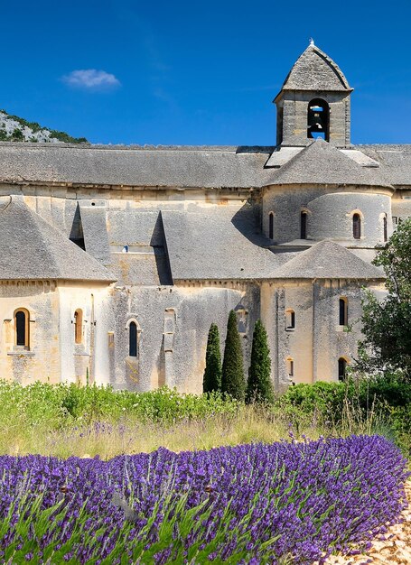 Photo célèbre abbaye de séquence et fleurs de lavande france