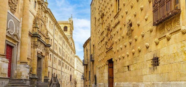 Célèbre architecture de Salamanque avec des bâtiments médiévaux dont la Casa de las Conchas en Espagne