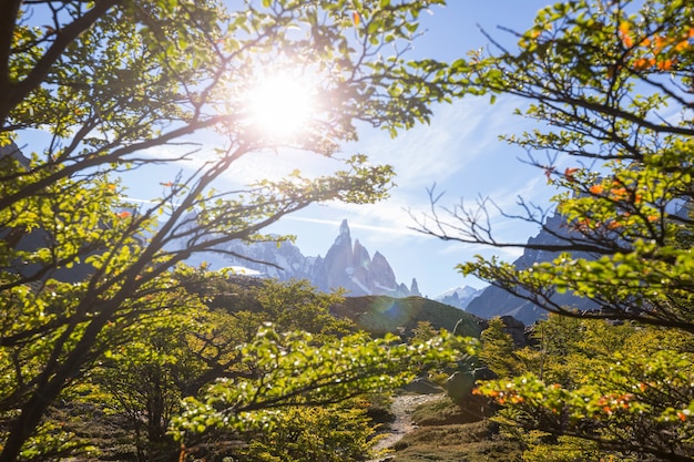 Célèbre beau pic Cerro Torre dans les montagnes de Patagonie, Argentine. Beaux paysages de montagnes en Amérique du Sud.