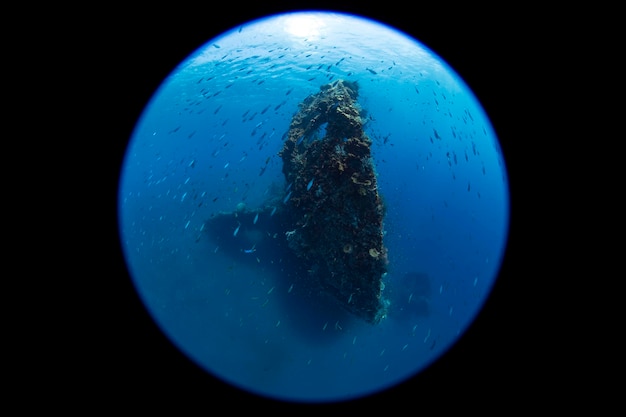 La célèbre épave du Liberty à Tulamben. Vie marine de Bali, Indonésie.