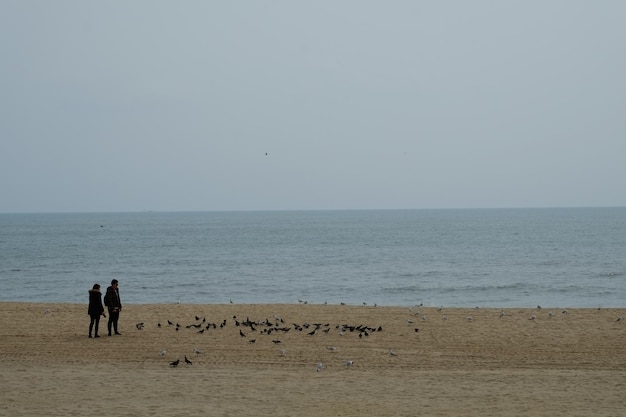 Célèbre plage de haeundae à busan en corée du sud