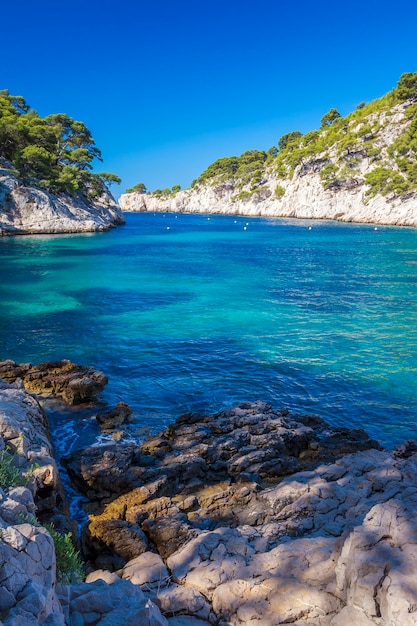 Photo célèbres calanques de port pin, cassis, france