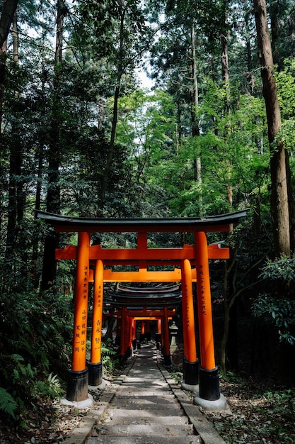 Célèbres portes torii dans le sanctuaire Fushimi Inari, Kyoto, Japon