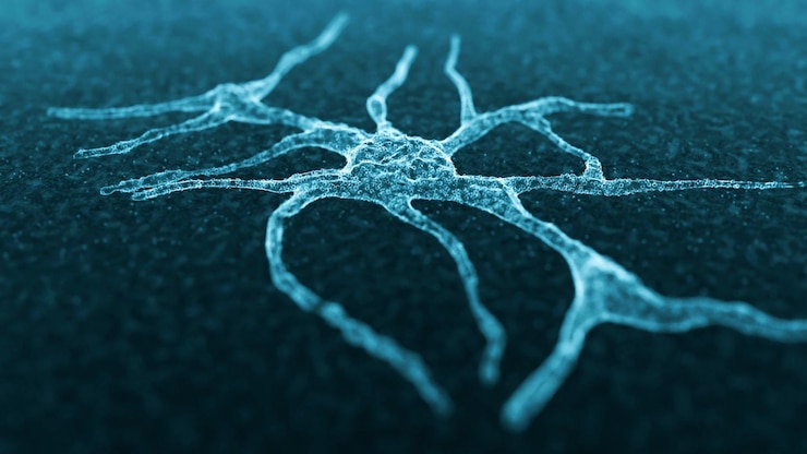 Photo cellule neuronale sem pc12 image rendue en 3d comme un hologramme sem micrographie électronique à balayage nerve cel