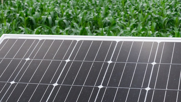 Cellule solaire dans la ferme. module photovoltaïque pour l'agriculture.