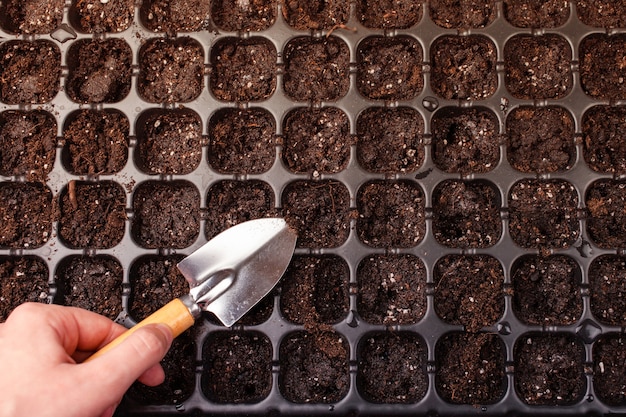 Cellules pour planter des graines et des pousses