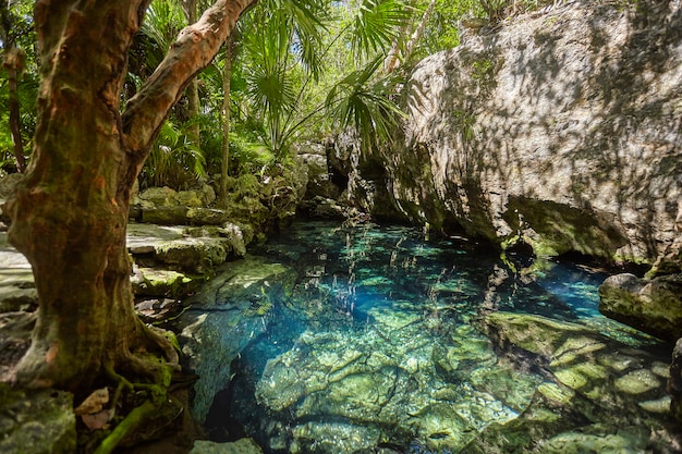 Cenote Azul au Mexique