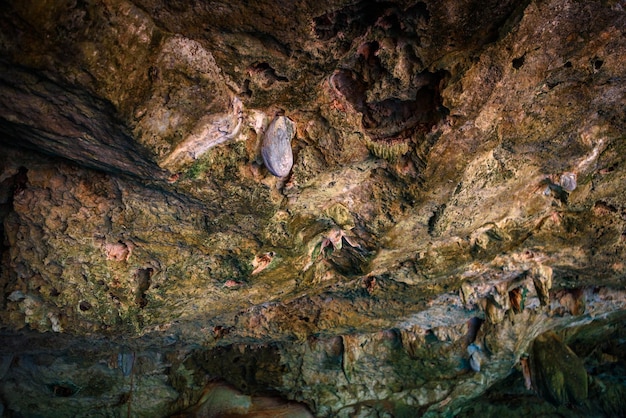 Cenote Dos Ojos avec de l'eau bleue claire