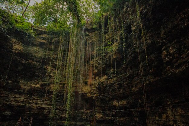 Photo cenote grande à valladolid au yucatan au mexique