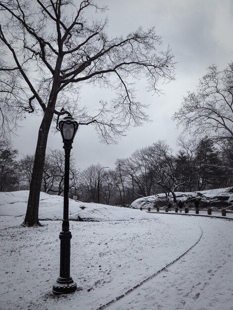 Photo central park dans la neige d'hiver new york manhattan